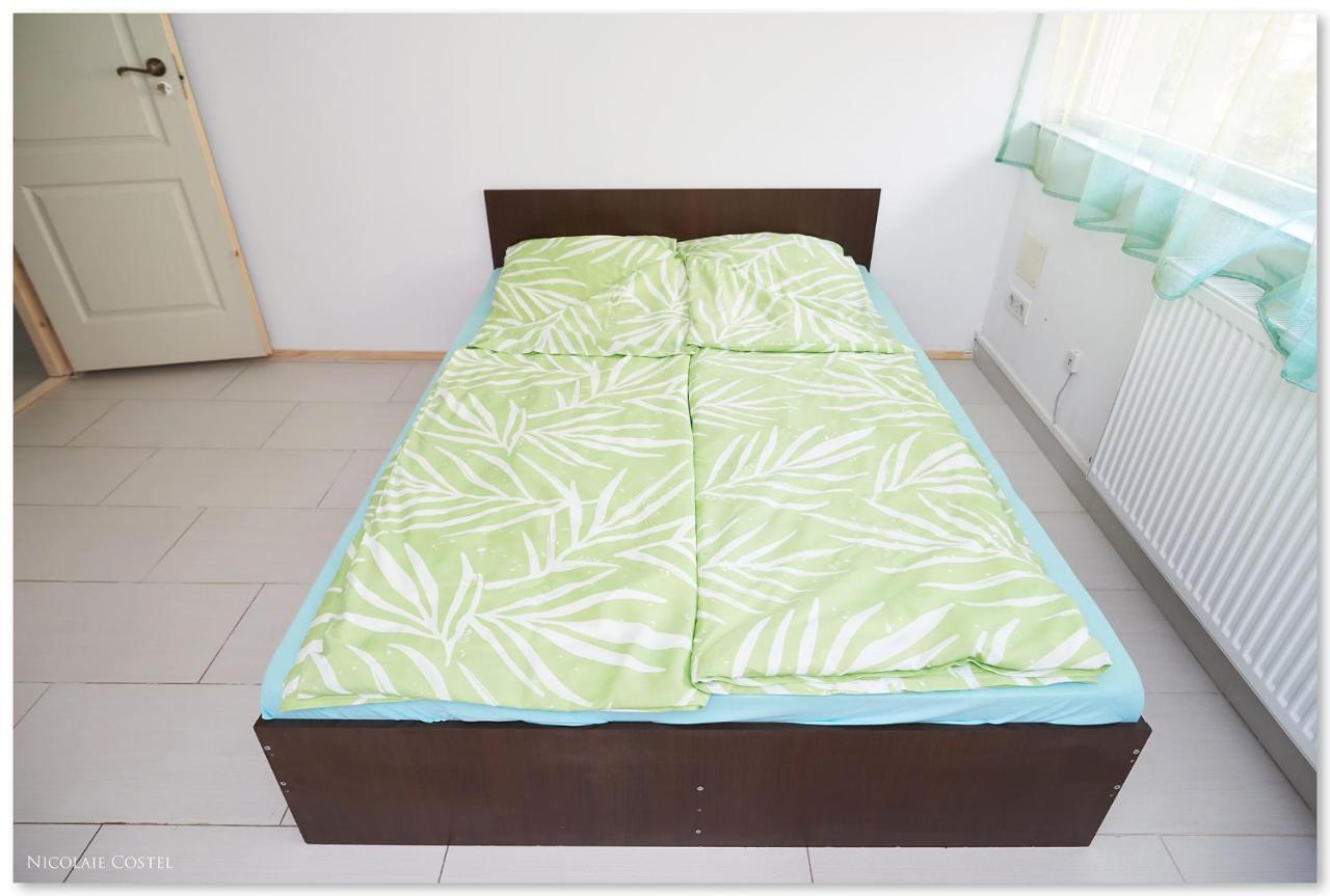 Zen House Hostel Тимишоара Екстериор снимка