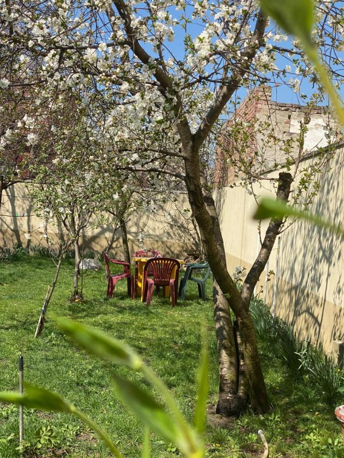 Zen House Hostel Тимишоара Екстериор снимка